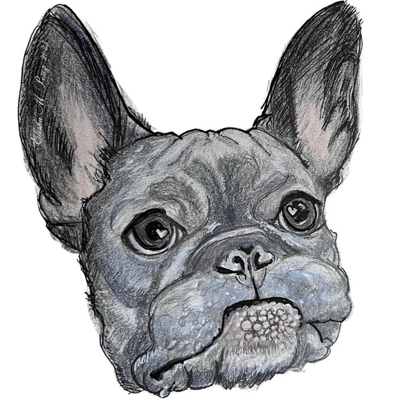 FRENCHIE Note Cards & Matching Vinyl Stickers (Series 1.1) - Picture 3 of 5